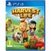 Harvest Life (PS4, російські субтитри) купить в интернет-магазине ⭐ GameSpot.com.ua ⭐ Harvest Life (PS4, російські субтитри), ,
